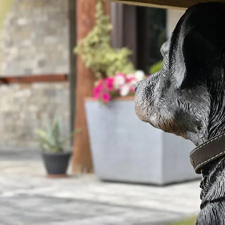 Pod Sosnami Termy 450m -20 Procent Na Termy Lejlighed Biały Dunajec