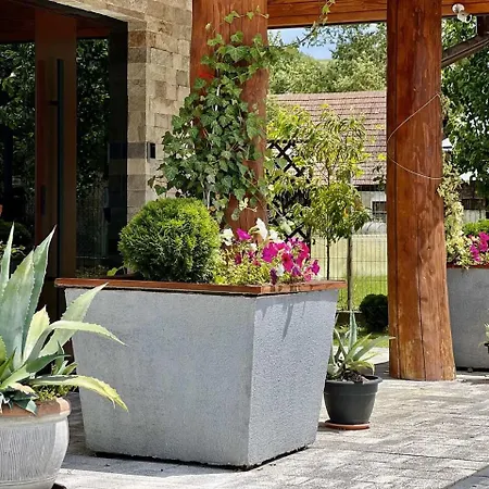 Lägenhet Pod Sosnami Termy 450m -20 Procent Na Termy *