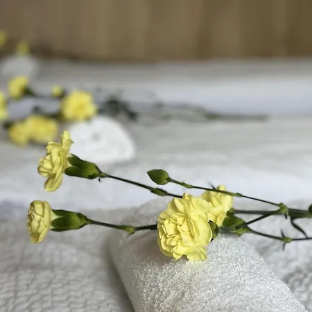 Lejlighed Pod Sosnami Termy 450m -20 Procent Na Termy *