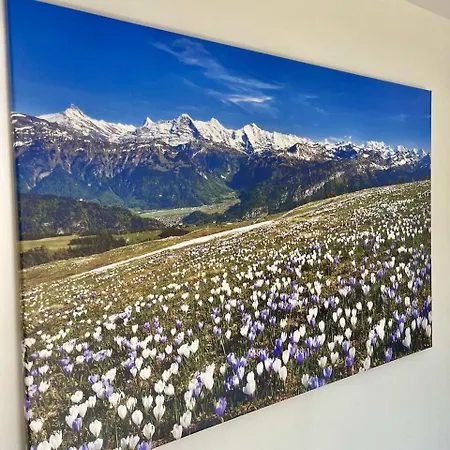 Pod Sosnami Termy 450m -20 Procent Na Termy Apartamento *